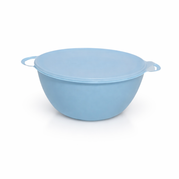 Bowl 7 L Con Tapa Carioca